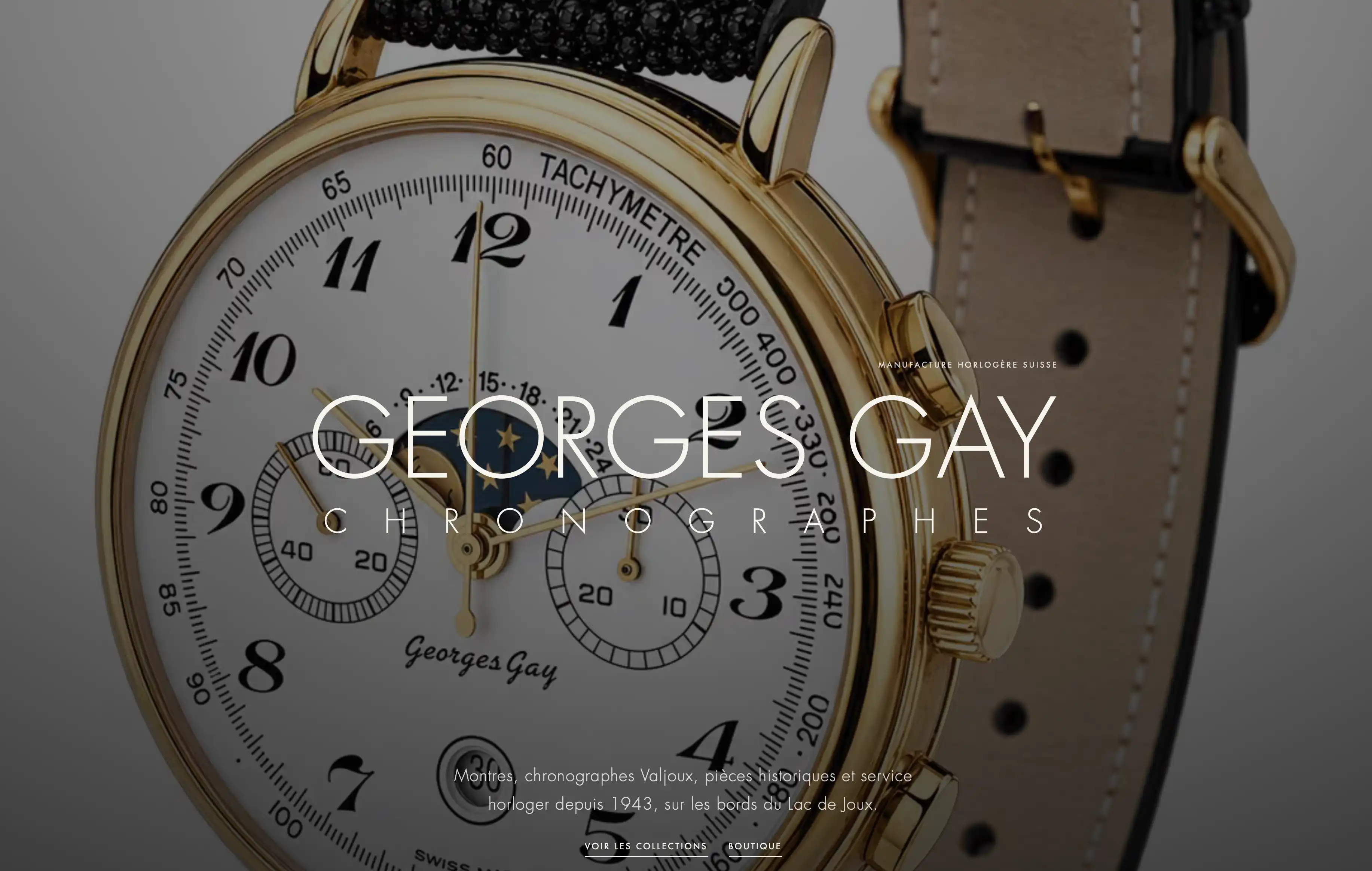 Aperçu du projet Georges Gay