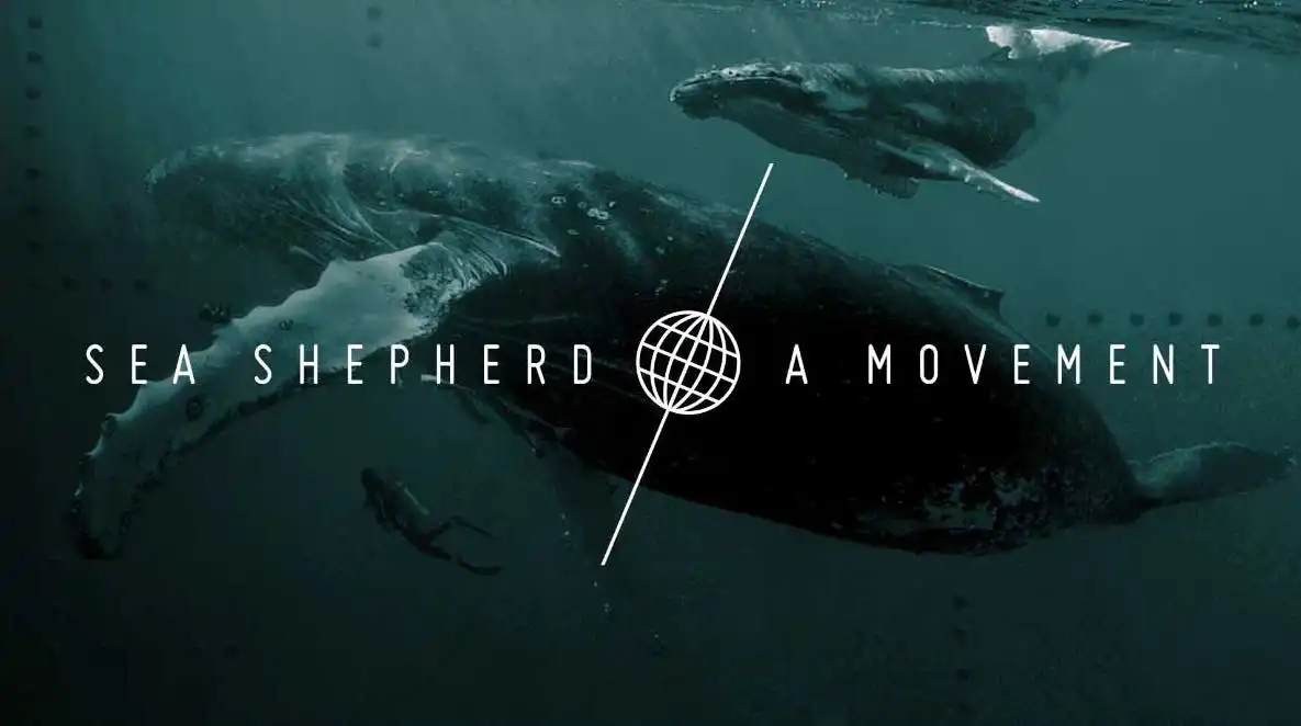 Sea Shepherd